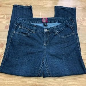 Torrid Dark Wash Skinny Jeans Size 18